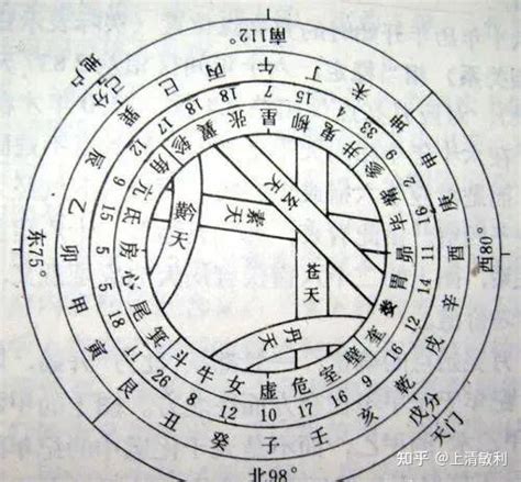 戊土 甲木|甲木